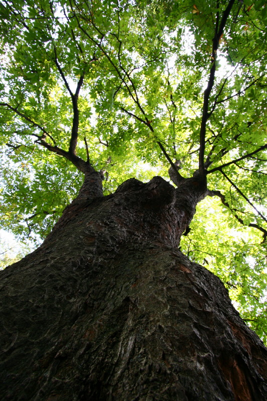 f0017530_2028231.jpg