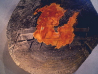 e0053937_2254596.jpg