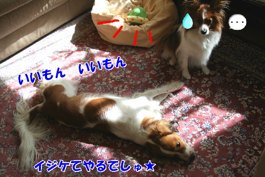 d0013149_2365999.jpg