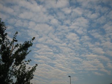 f0002750_1762560.jpg