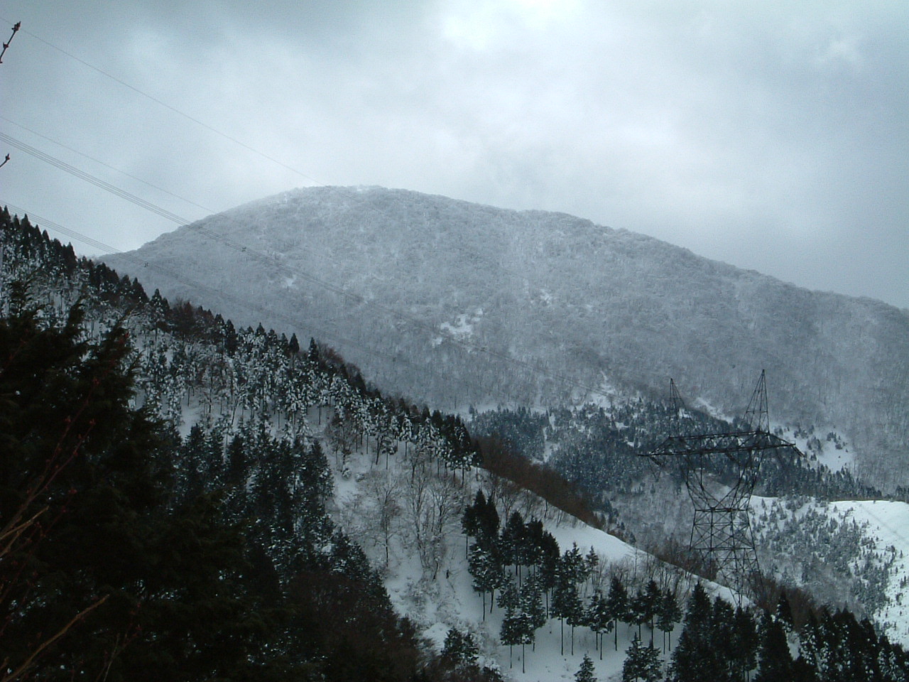 c0097754_23133256.jpg