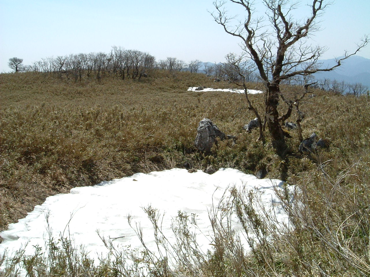 c0097754_23284663.jpg