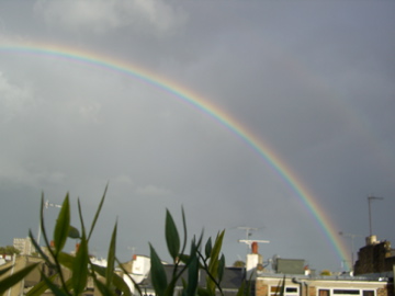 b0071355_0445189.jpg