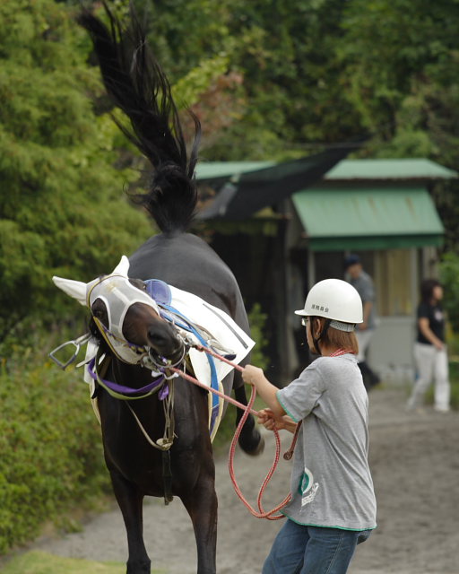 2006年10月22日(日) 高知競馬_a0077663_16201047.jpg