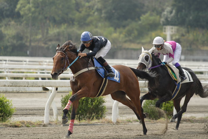2006年10月22日(日) 高知競馬_a0077663_16413774.jpg