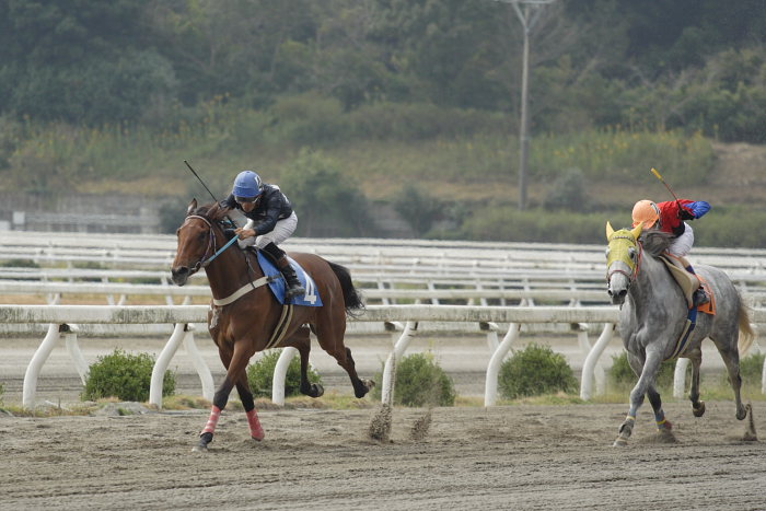 2006年10月22日(日) 高知競馬_a0077663_16432896.jpg