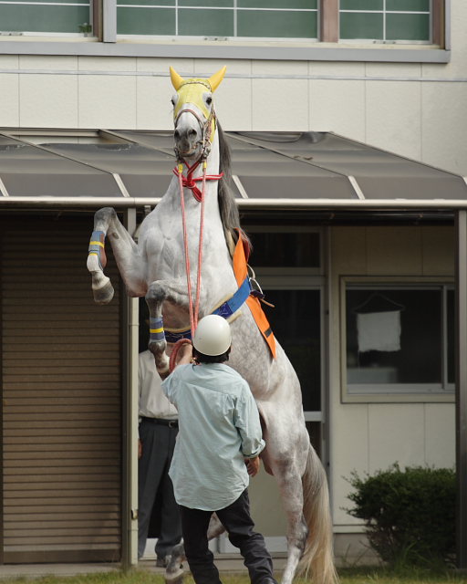 2006年10月22日(日) 高知競馬_a0077663_16461130.jpg