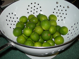 f0087663_894010.jpg