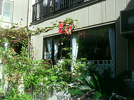 b0091575_8261363.jpg