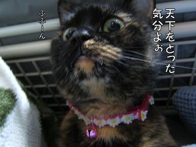 a0045990_0332649.jpg