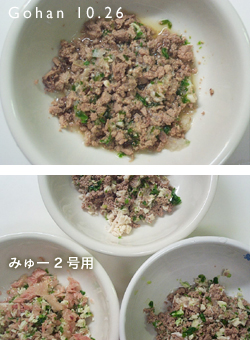 からかわれてる?_e0031853_10445929.jpg