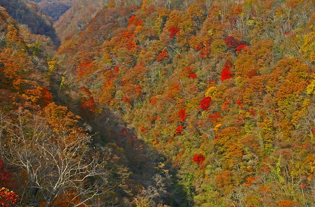 登別渓谷の紅葉_b0099877_17261615.jpg