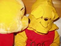 b0076085_6263914.gif
