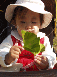b0076085_6285642.gif