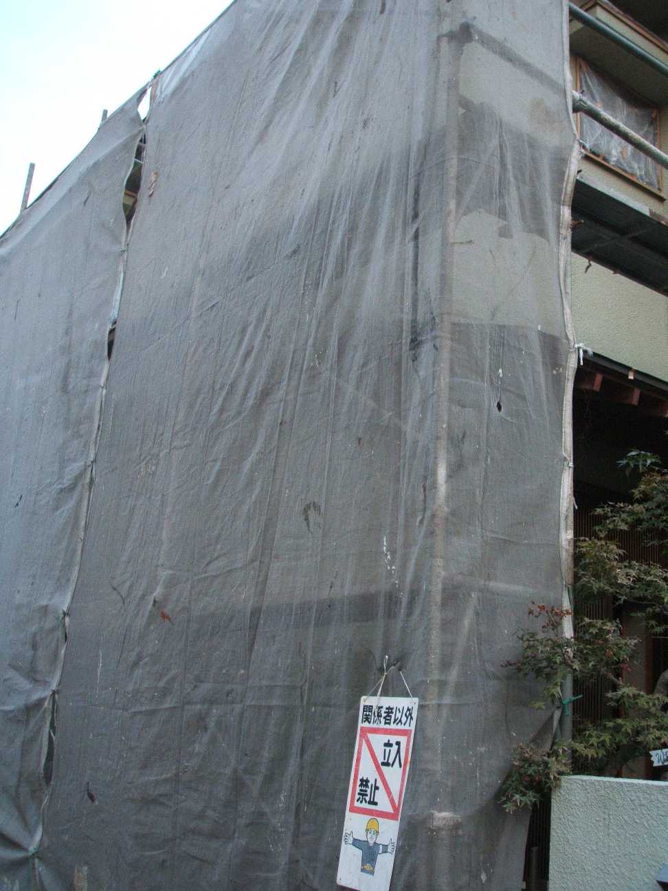 f0079190_1562743.jpg