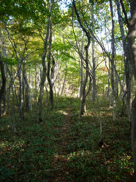 b0050305_18484041.jpg