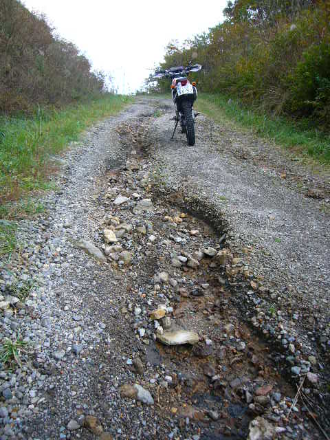 b0050305_18502921.jpg