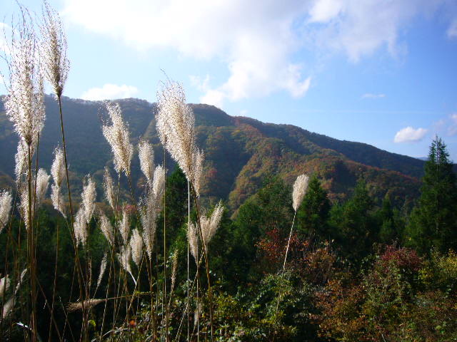 b0050305_18515364.jpg