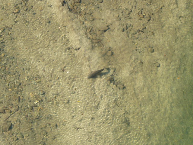 b0050305_18533558.jpg
