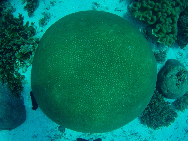 e0101911_17591976.jpg