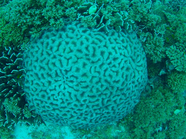 e0101911_1833534.jpg