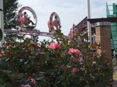 d0070920_1721626.jpg