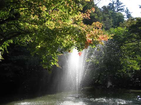 c0019131_16395799.jpg