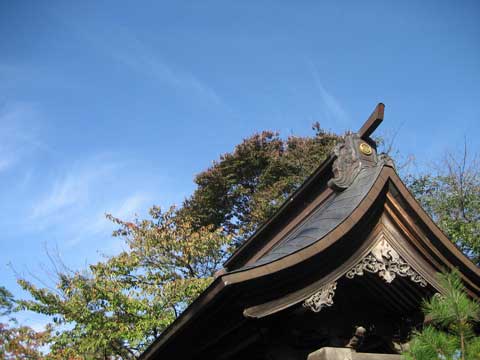 c0019131_1640234.jpg
