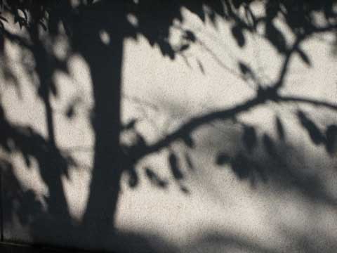 c0019131_16404625.jpg