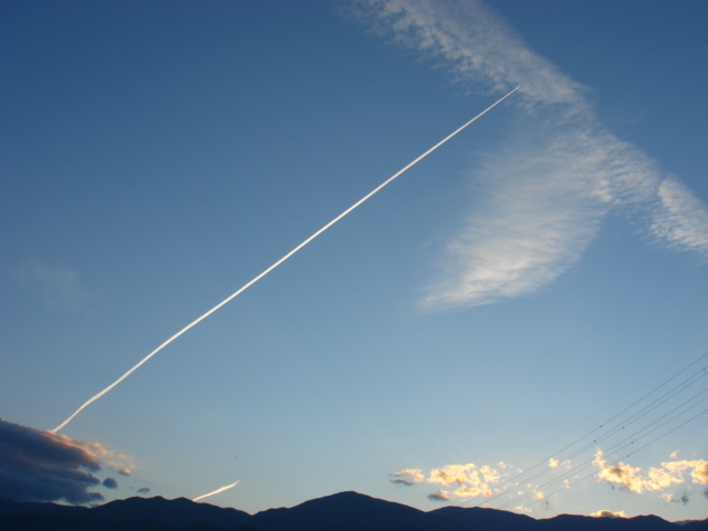 a0014840_2120587.jpg