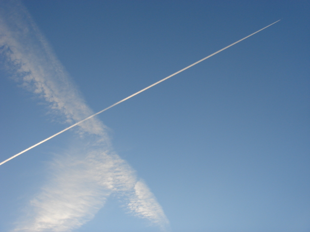 a0014840_2140339.jpg