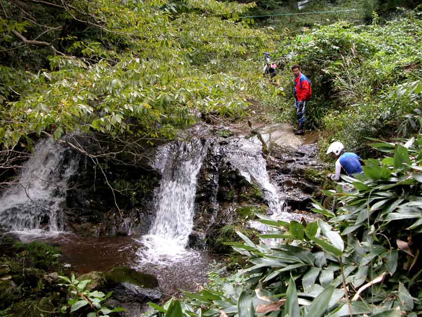 「水源の森」の水源です（*⌒▽⌒*）♪_d0058941_20354242.jpg