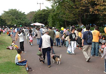 秋祭りでこんにちは。_a0070350_2344120.jpg