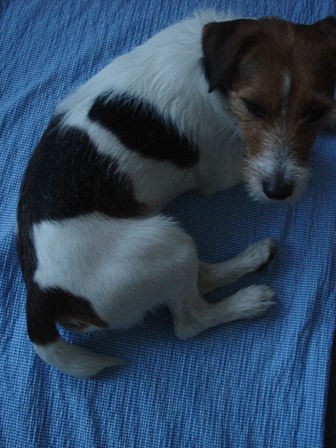 f0077150_2431193.gif