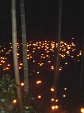 竹灯籠祭り_a0059862_21464948.jpg