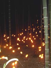 竹灯籠祭り_a0059862_2147520.jpg