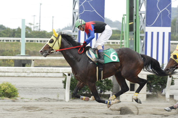 2006年10月22日（日） 高知競馬_a0077663_8175680.jpg