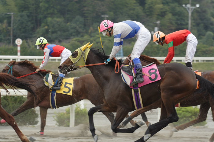 2006年10月22日（日） 高知競馬_a0077663_821044.jpg