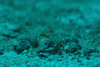 d0056263_20364085.jpg
