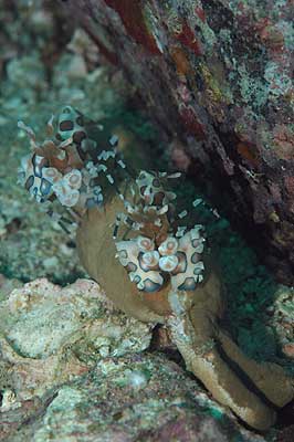 d0056263_2038115.jpg