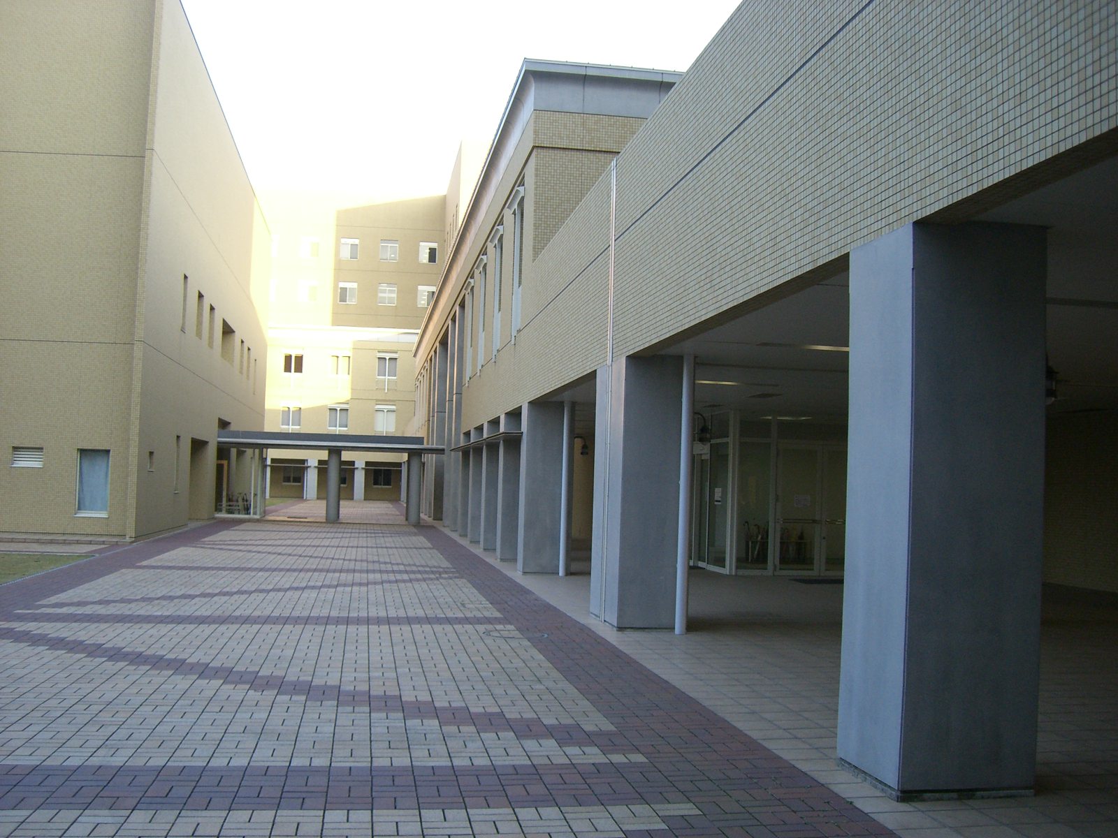 大学祭_d0047569_2049358.jpg