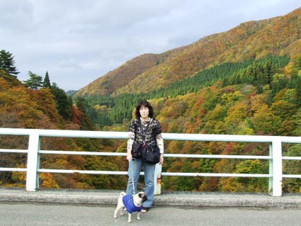 紅葉を見に_f0019498_2046173.jpg
