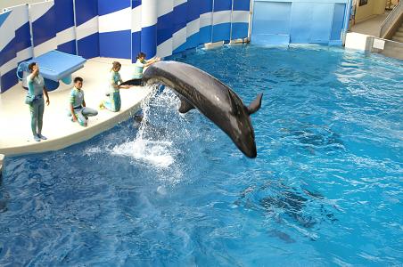 江ノ島水族館_d0043602_20234232.jpg