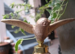 e0048503_1953116.jpg