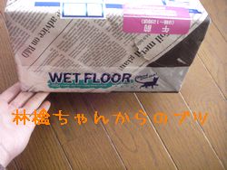 a0054504_21255953.jpg