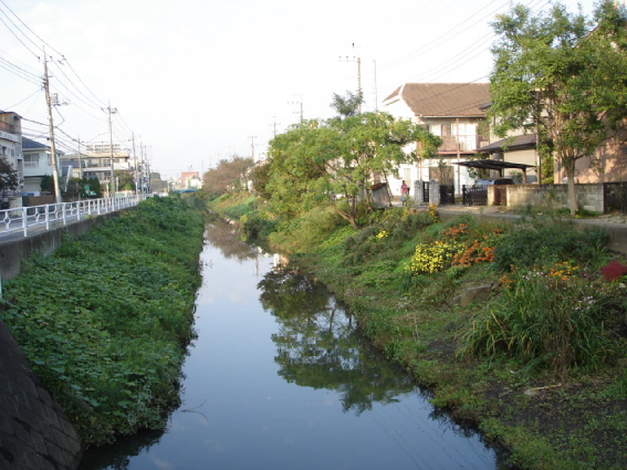 どうしても好きな気持ち_f0024708_23591180.jpg