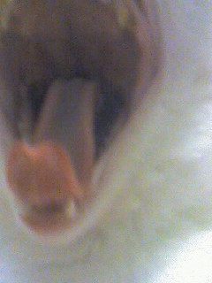f0052337_20455980.jpg