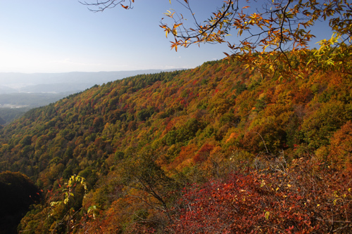 b0067346_1652449.jpg