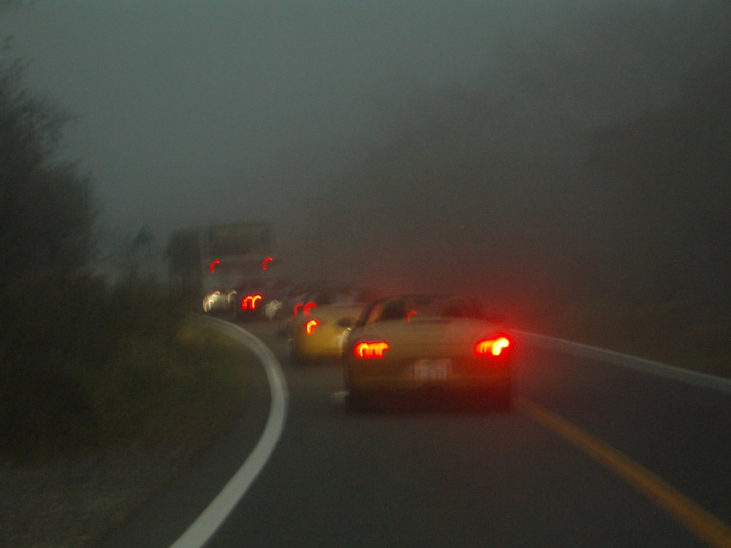 f0091448_01150.jpg
