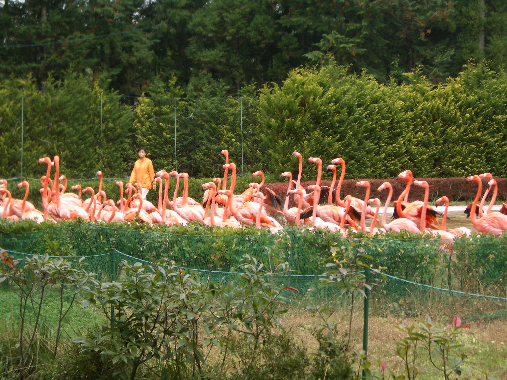 f0091448_06392.jpg